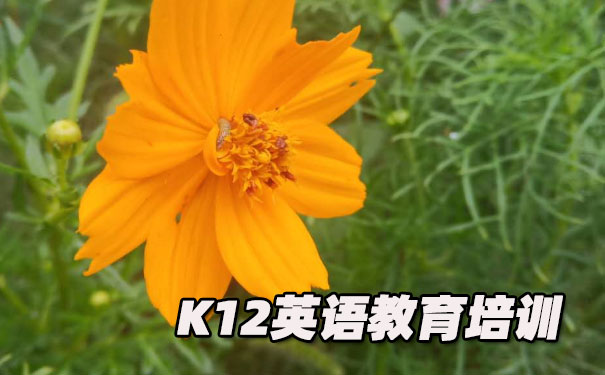 佛山南海区K12英语教育-品牌机构排名