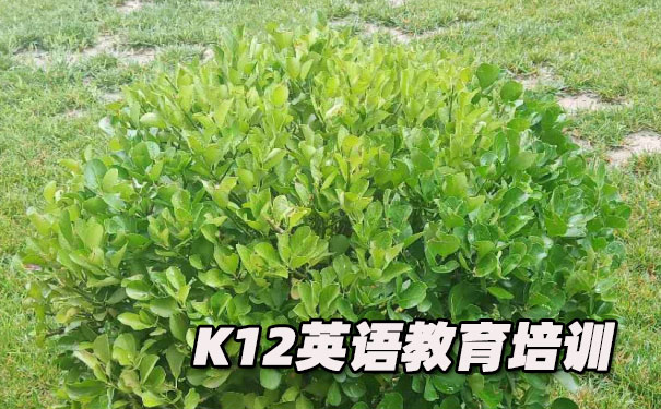 佛山K12英语教育-品牌机构排名        