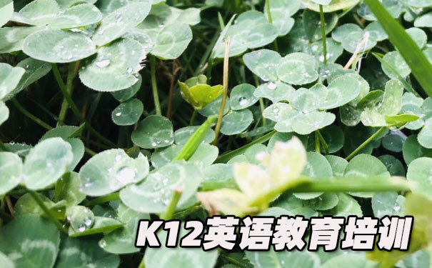 昆明盘龙区K12英语教育-品牌机构排名    