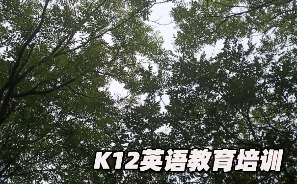 长沙K12英语教育-品牌机构排名  