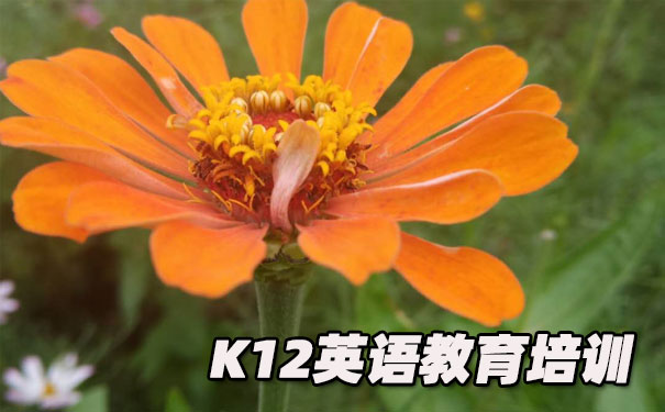 武汉江汉区K12英语教育-品牌机构排名 