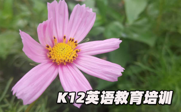 武汉汉阳区K12英语教育-品牌机构排名