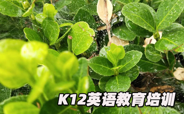 北京海淀区K12英语教育-品牌机构排名  