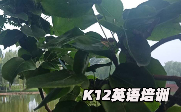 无锡K12英语教育-品牌机构排名 