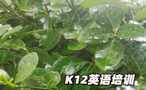 绵阳涪城区K12英语教育-品牌机构排名