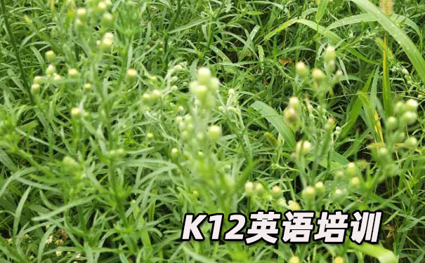 汕头K12英语教育-品牌机构排名  