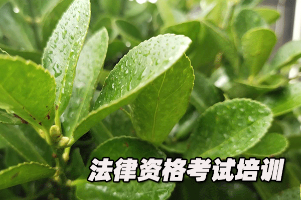 潍坊法律职业资格证考试培训班 